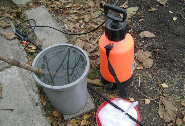  Pentru tratarea solului este necesar să se utilizeze un pulverizator cu un armă telescopică