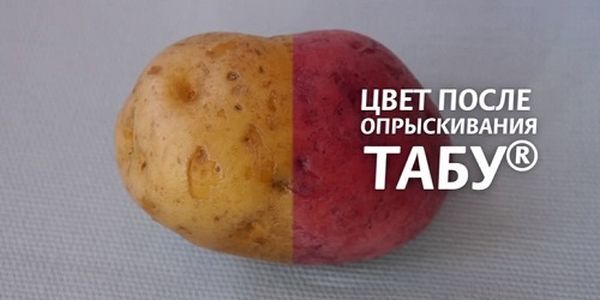  Semințele tratate devin roșii
