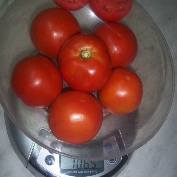  Titan tem excelentes características do produto.