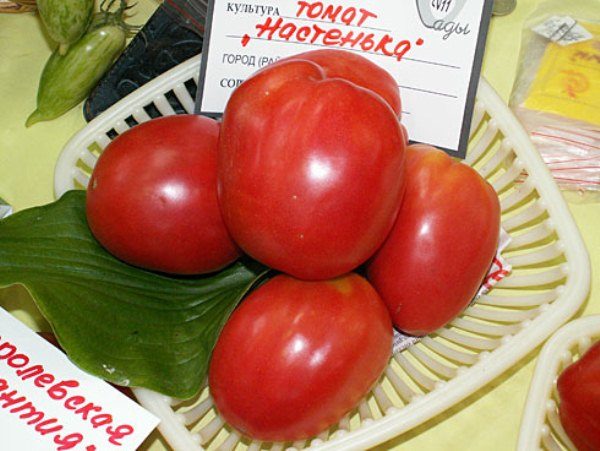  Tomate Nastya