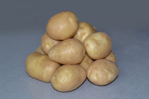  Potato varieties Luck