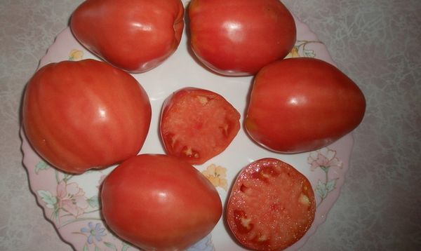  Variedades características de tomate Batyanya