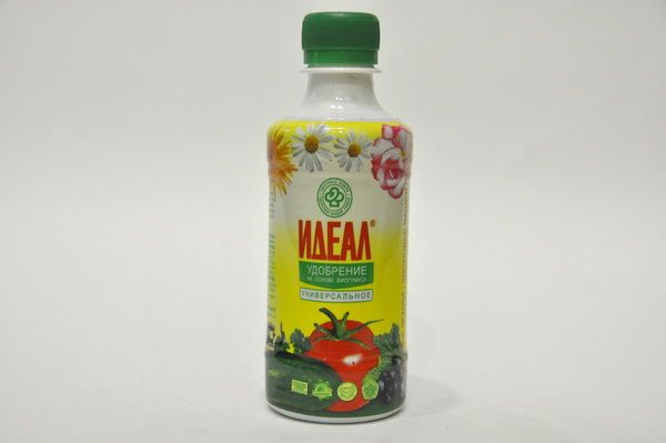  Ideale come regolatore di crescita melanzana