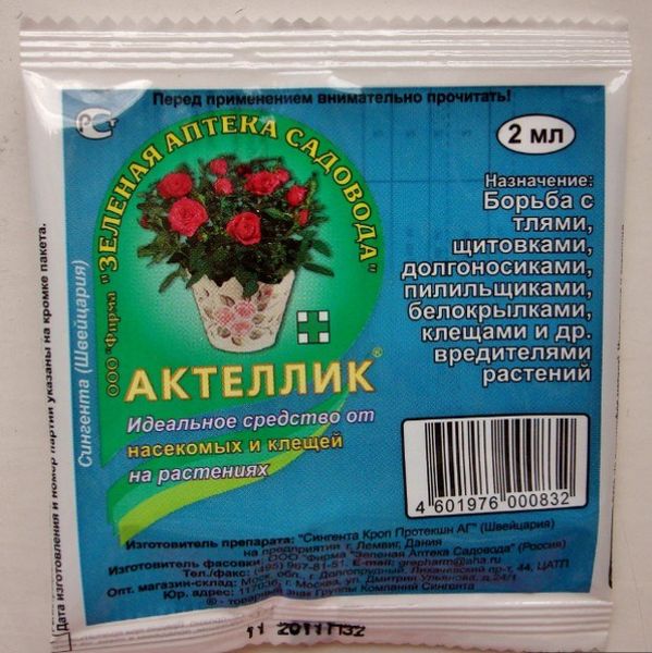  За да се предпазят краставиците от вредители, почвата е засадена от Aktellik преди засаждане.