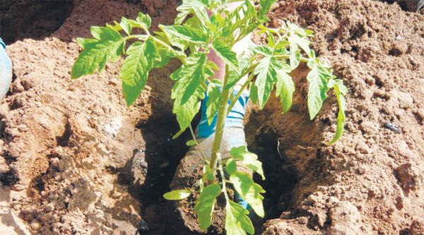  A explosão destina-se a aterrar apenas em terreno aberto.
