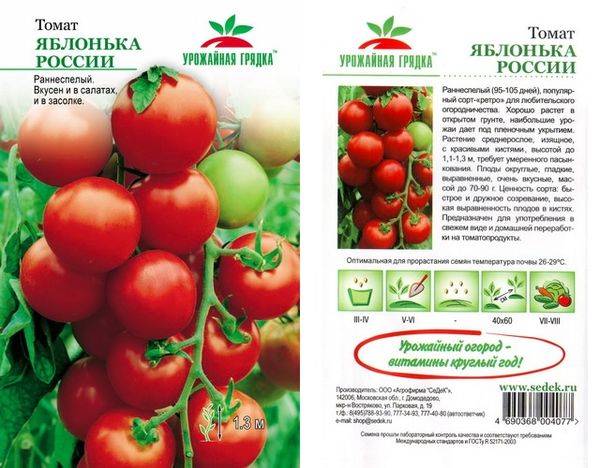  Sementes de tomate Apple Russia