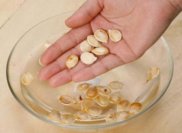  Regole per piantare in piena terra