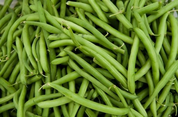  Fasole verde