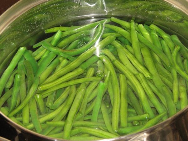  I baccelli crudi non possono essere consumati, devono bollire per 5 minuti