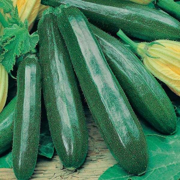  Da 1 mq puoi raccogliere 12-15 kg di frutta Tsukeshi