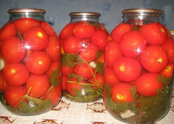  Os pequenos frutos de tomate Klusha são ótimos para conservas.