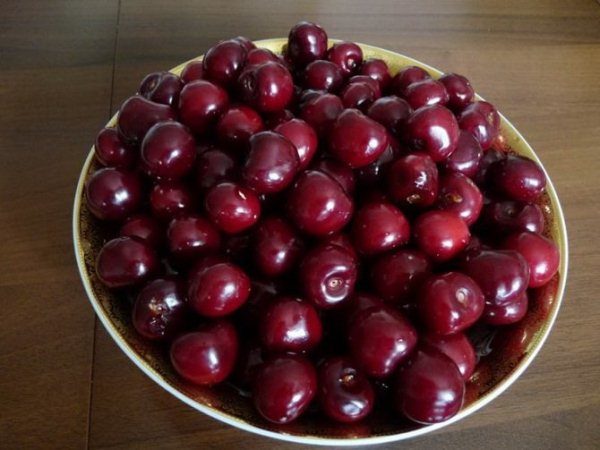  The shelf life of Sweet Bull Heart is very short and requires immediate processing.