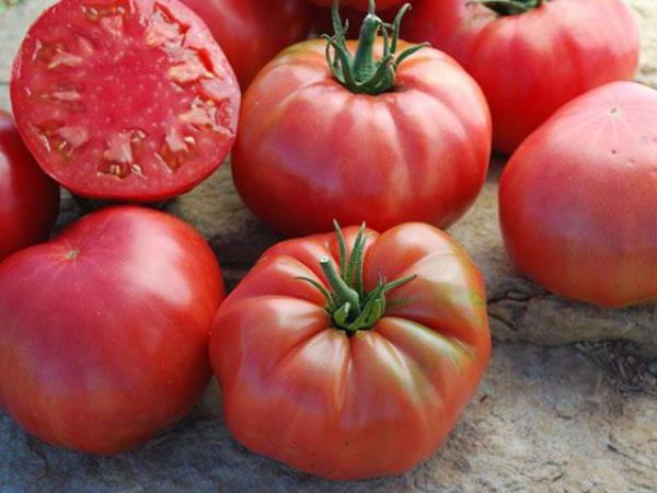  Tomato sugar bison close up