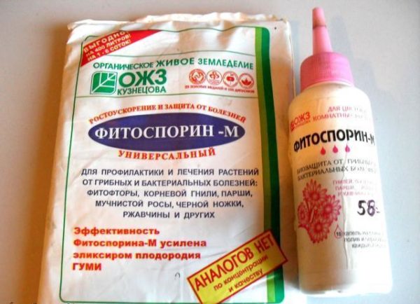  Il fungicida Fitosporin-M è prodotto in varie forme