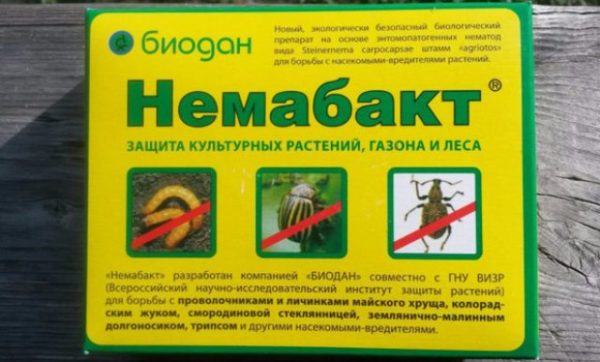 Drug nemabak