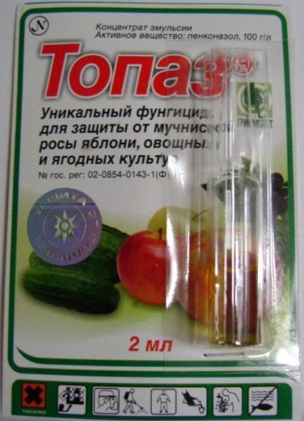  Per la lavorazione del giardino, un concentrato da una fiala di due millilitri viene sciolto in una piccola quantità di acqua.