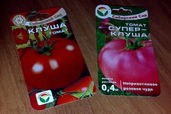  Sementes de tomate Klusha e Super Klusha