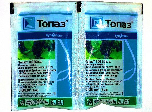  Fungicida Topaz ti permette di sbarazzarti di parassiti come l'oidio, la ruggine