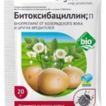  bitoksibatsillin
