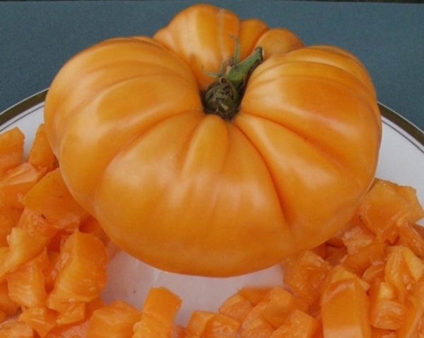 Tomat Amana Orange (Amana Orange)