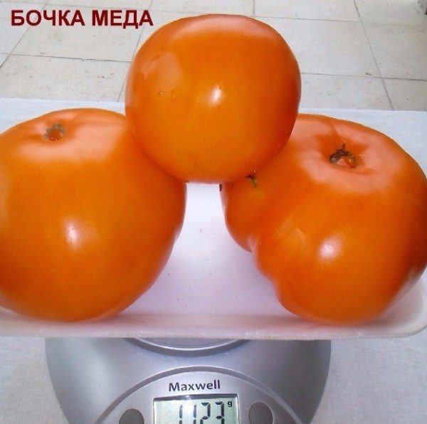  Tomat de baril de miere