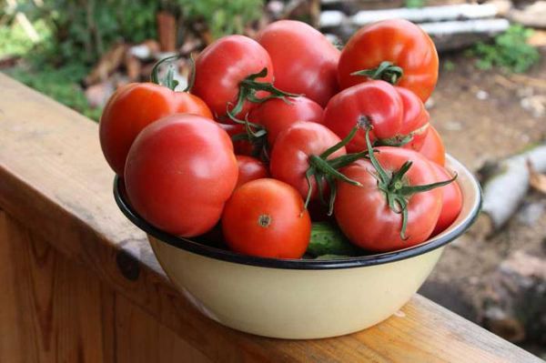  Cele mai bune soiuri determinante de tomate pentru sere în Siberia
