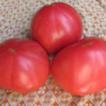  Cele mai bune soiuri de fructe dulci pentru Urali