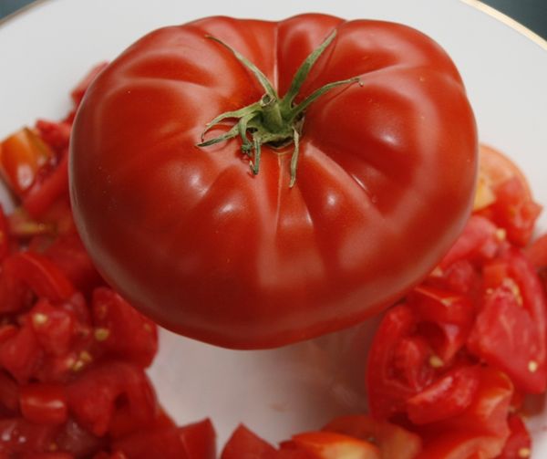  Tomato Big Beef F1