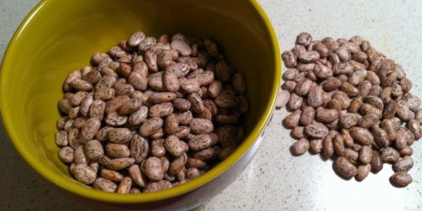  Fagioli preparati grigi