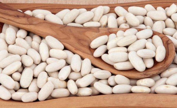  fagioli bianchi