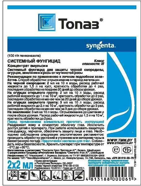  Fungicida Topaz non perde la sua efficacia con salti acuti in temperatura dell'aria, quindi può essere utilizzato su giardini domestici in qualsiasi condizione atmosferica.
