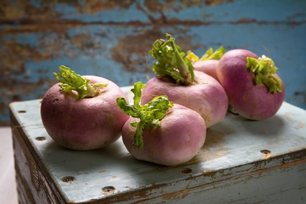  Coltivazione di radici di rutabaga