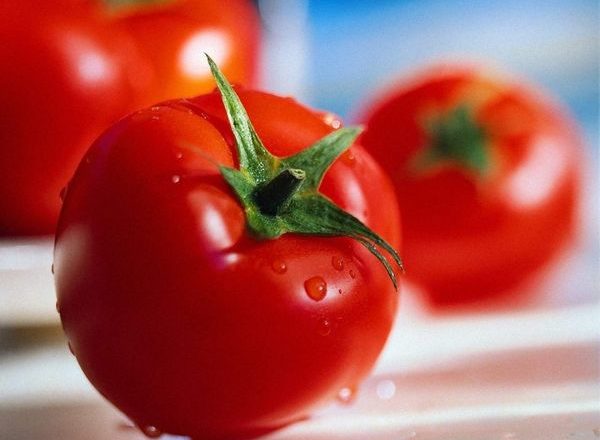  Tomate la la la fa