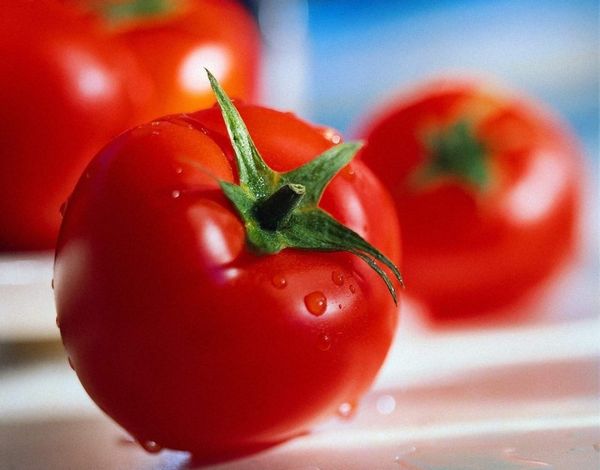  Tomato la la la fa