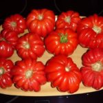  Cele mai fructuoase roșii