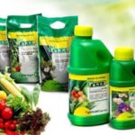  Humic îngrășăminte