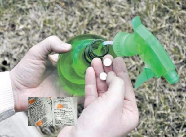  Prepararea unei soluții de acid succinic
