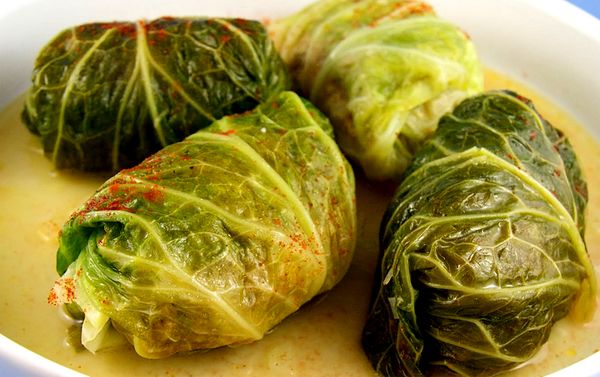  Dalle foglie della varietà si ottengono buoni involtini di cavolo