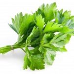  Cilantro frunze