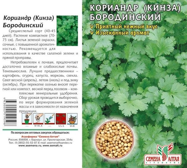  Semințe de coriandru prelucrate în plante