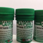  saprolite
