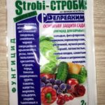  strobo