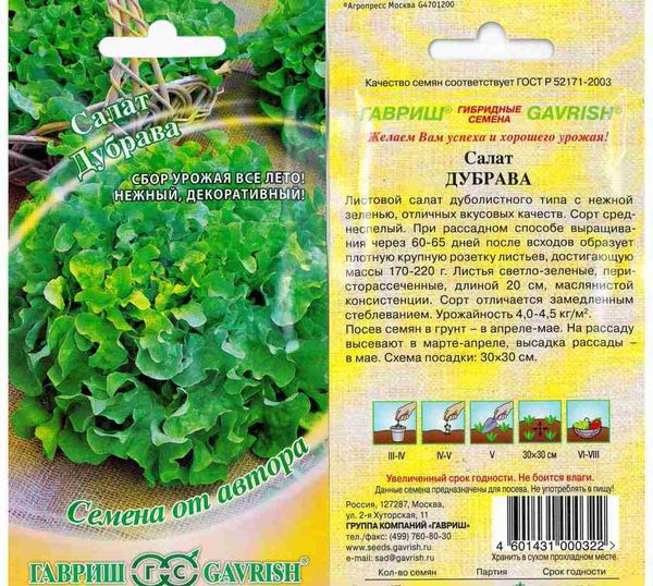  Insalata Dubrava