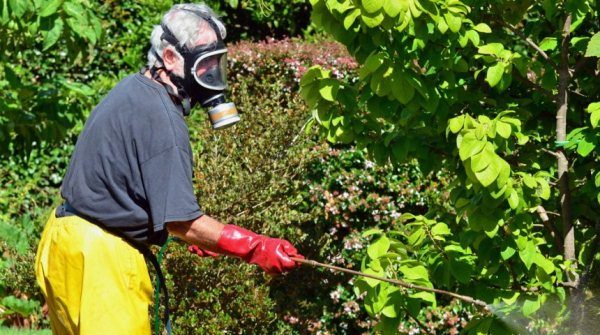  È necessario utilizzare una preparazione, osservando le norme di sicurezza