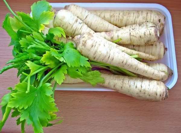  Pătrunjel rădăcină