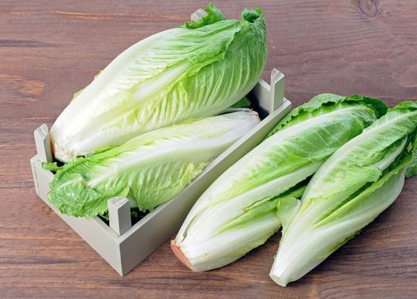  100 gramas de salada verde Romain contém apenas 17 kcal