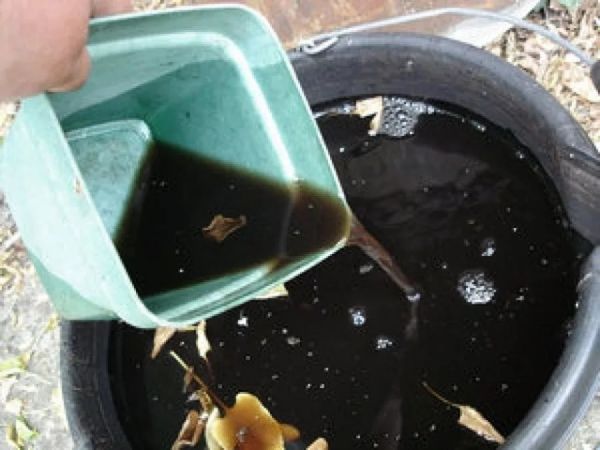  Composizione e caratteristiche della salute dei fertilizzanti