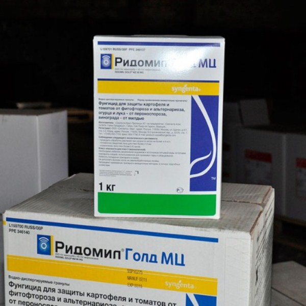  Fungicidul Ridomil Gold este capabil să-și mențină calitățile utile timp de trei ani de la data fabricării