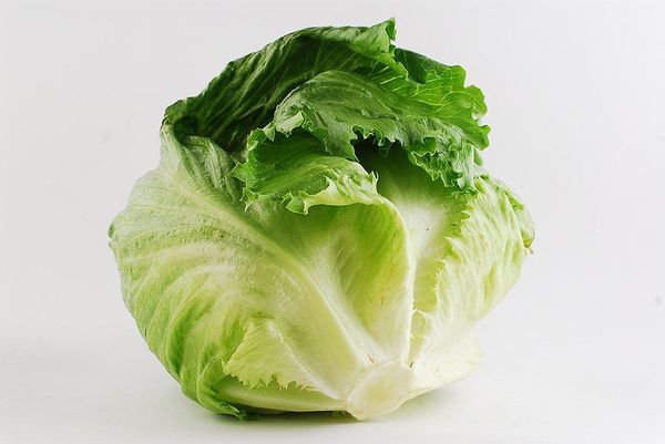  Il peso medio delle teste di lattuga Iceberg - 300-600 grammi