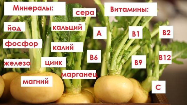  Propriedades úteis de vegetais